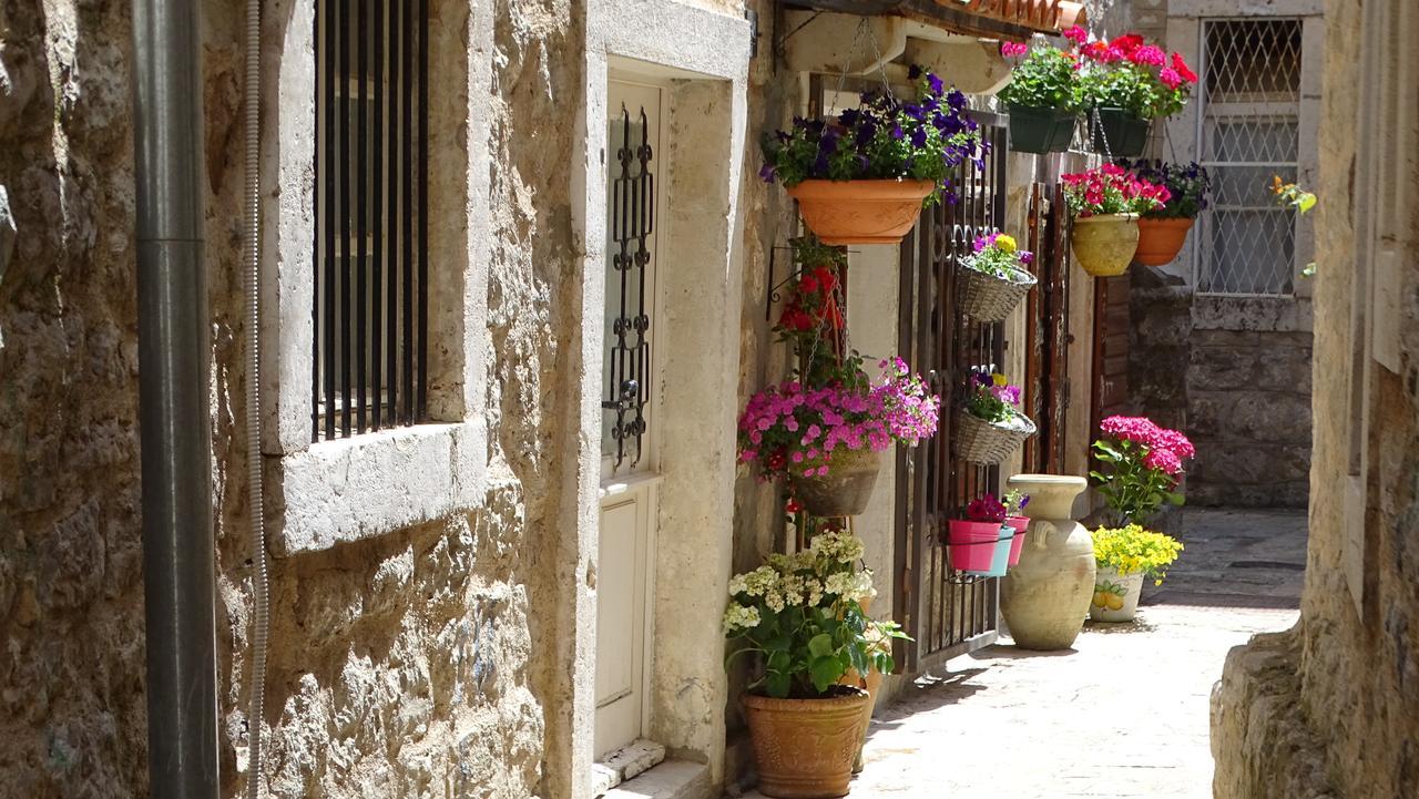 Apartments Renaissance Old Town Budva Exteriör bild